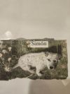 Simon