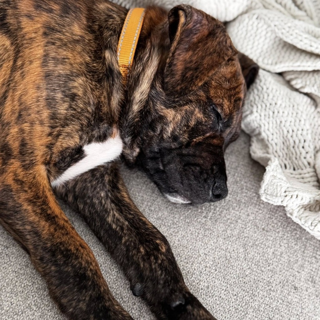 Benny