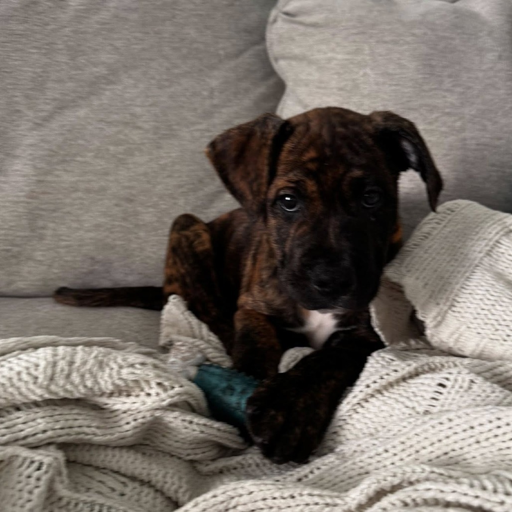 Benny