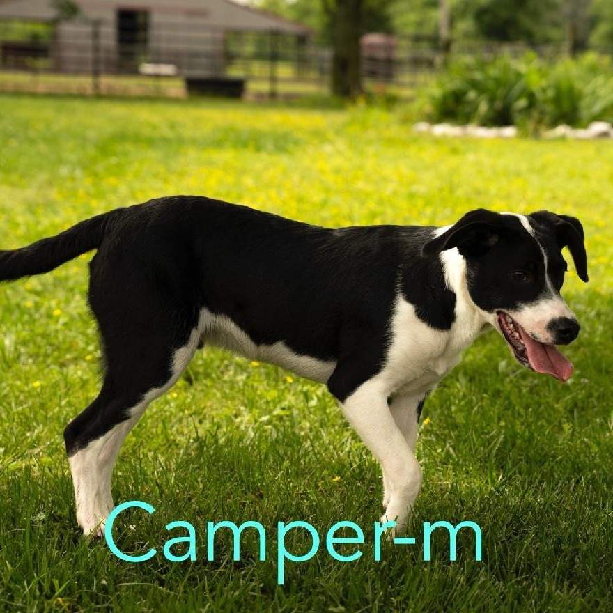 Camper