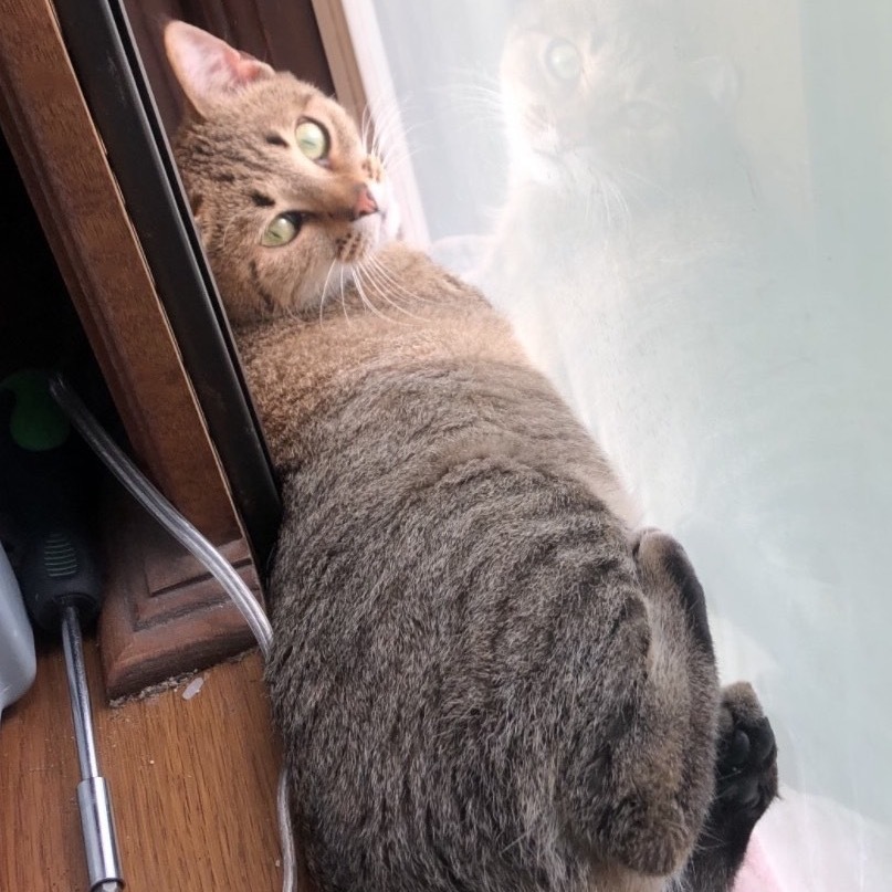 Athena
