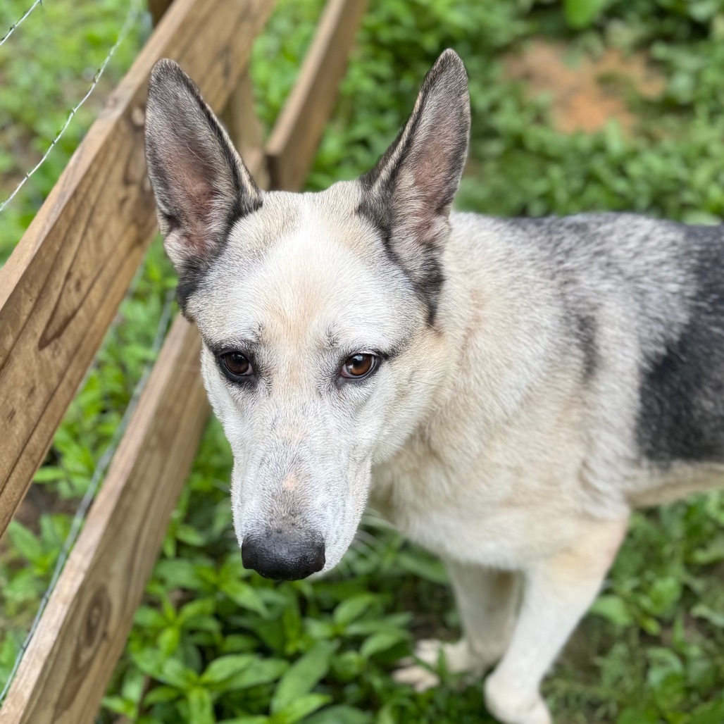 Ishka