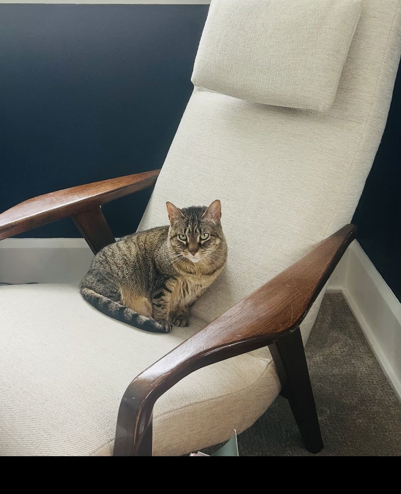 Stella