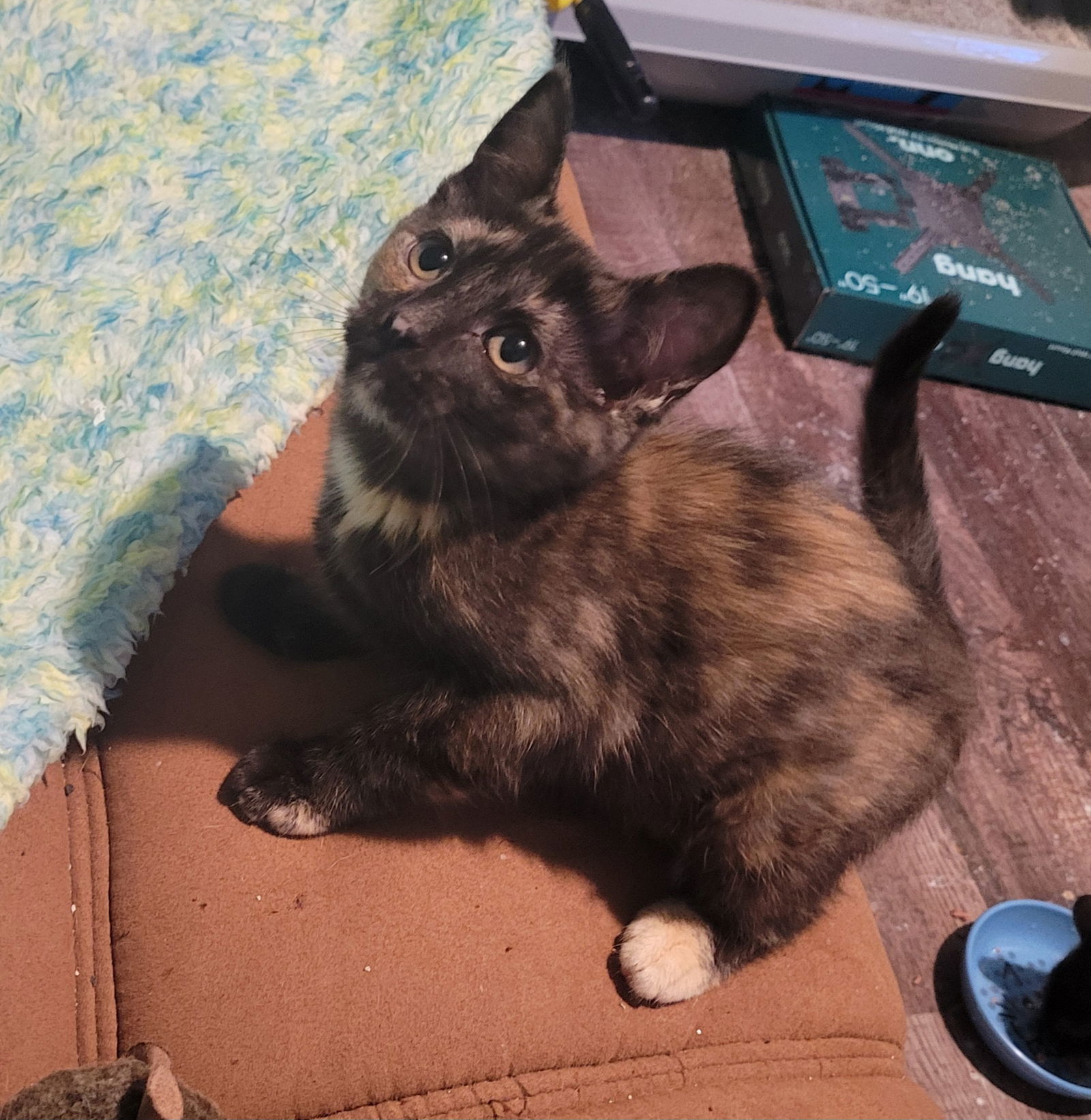 Vivian