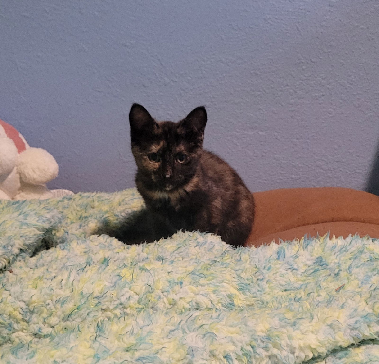 Vivian