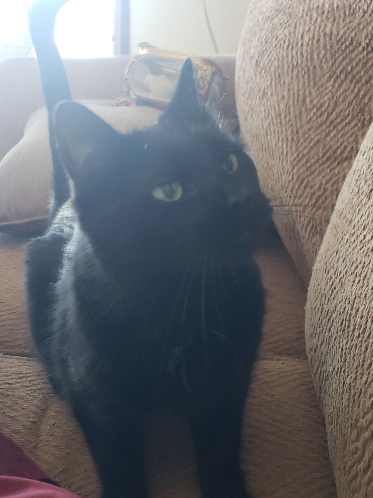 Lucy