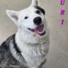 Zuri photo 3