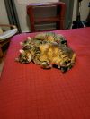 Nashi et Mew photo 2