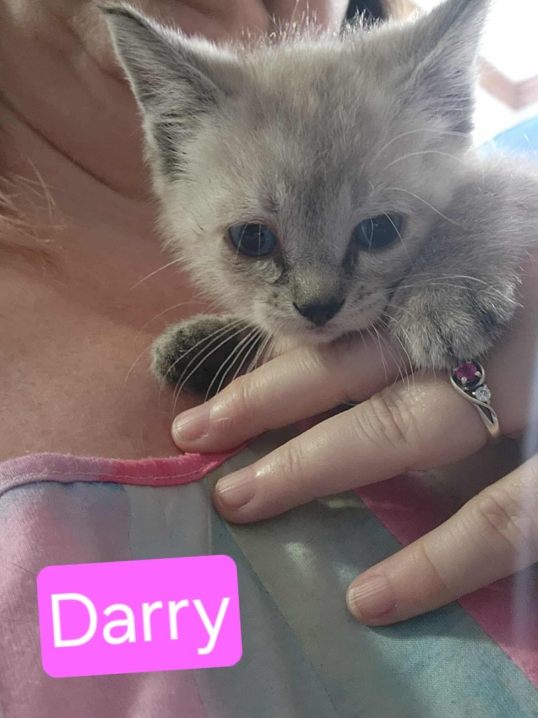 (Kitrina) Darry