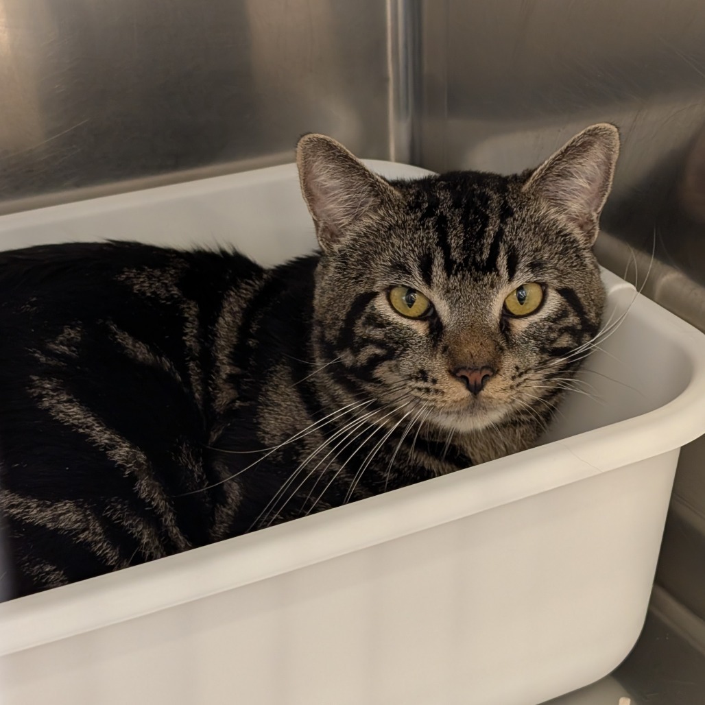 Sebastian