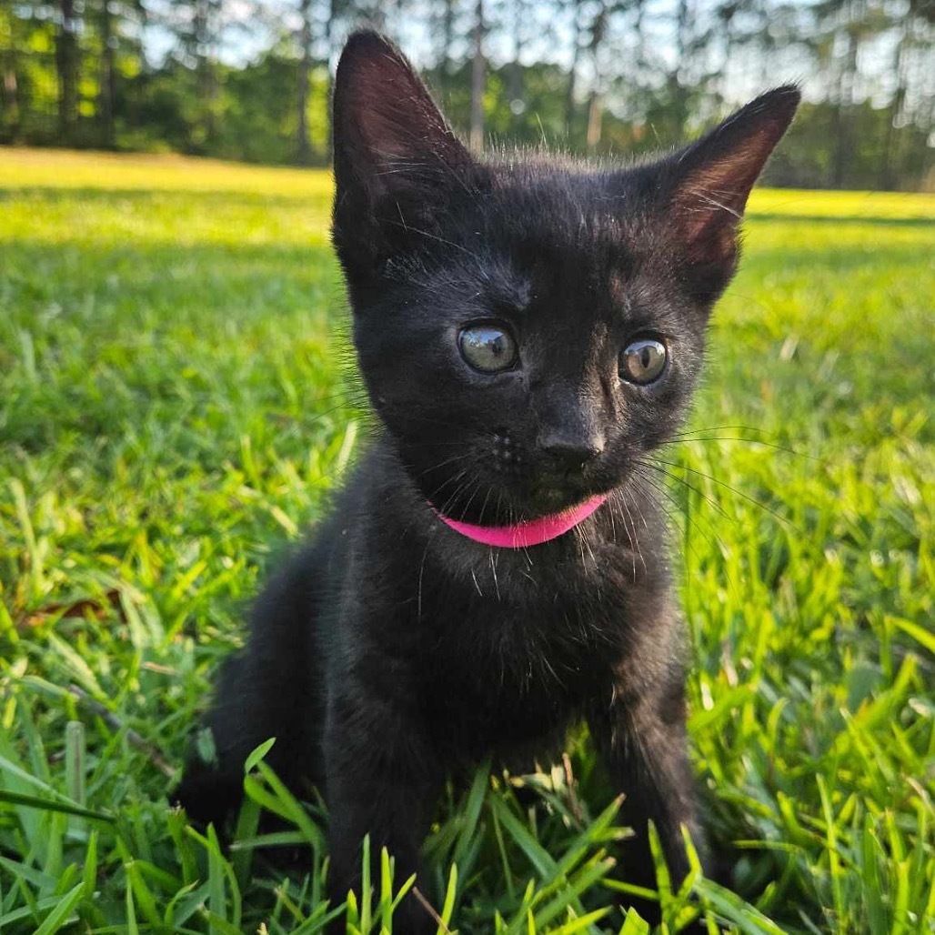 Luna