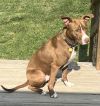 Cooper photo 3