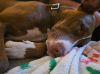 Cooper photo 4