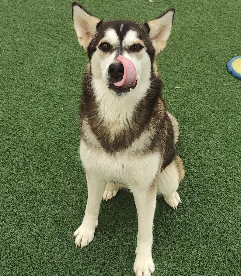 Alaska