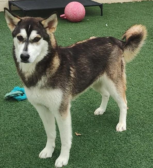 Alaska