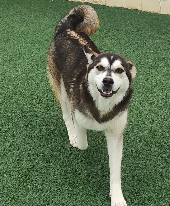 Alaska