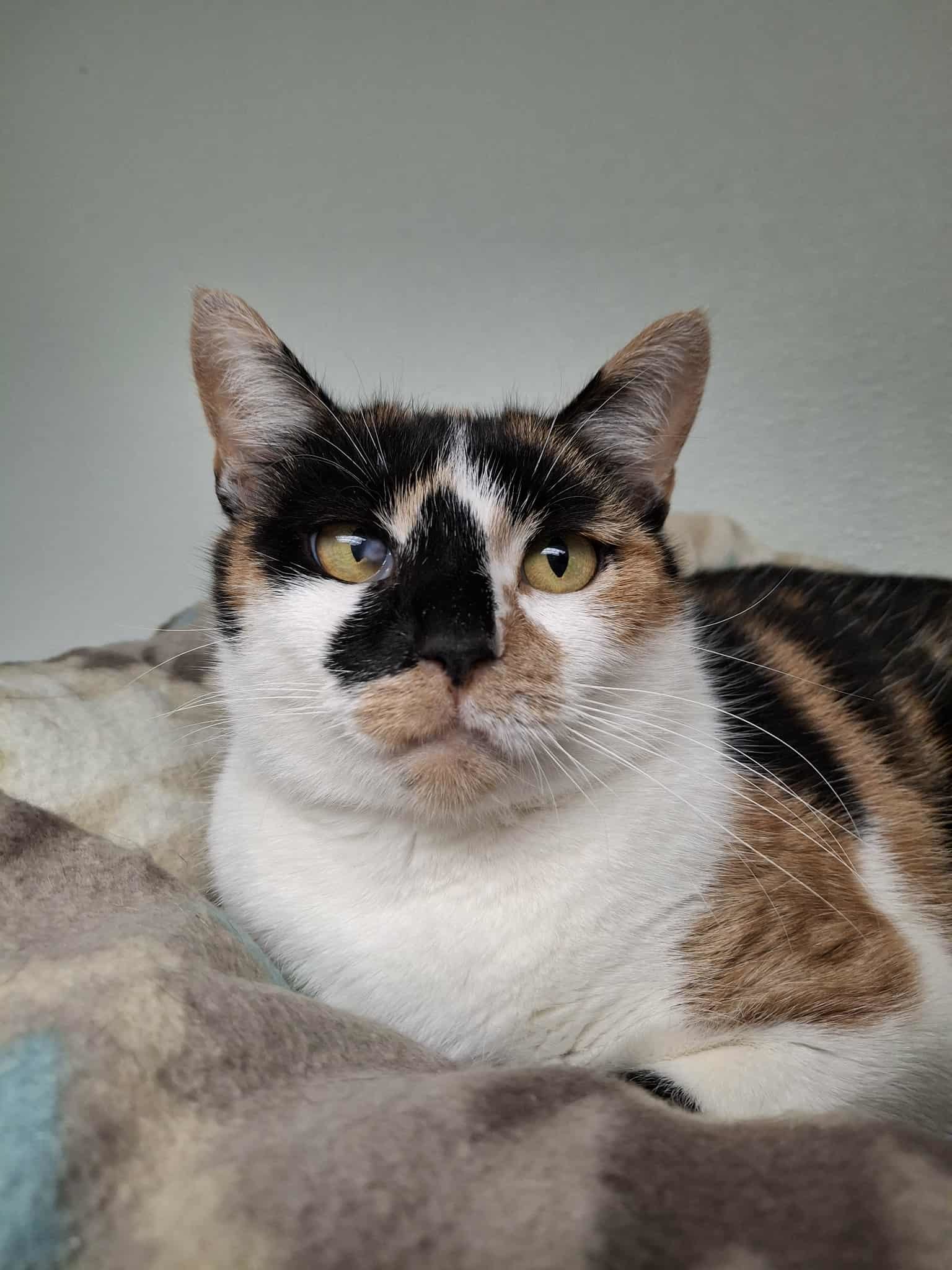 Jenny