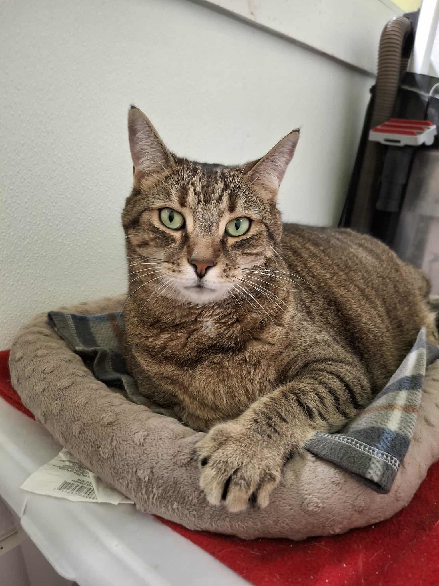 Benny