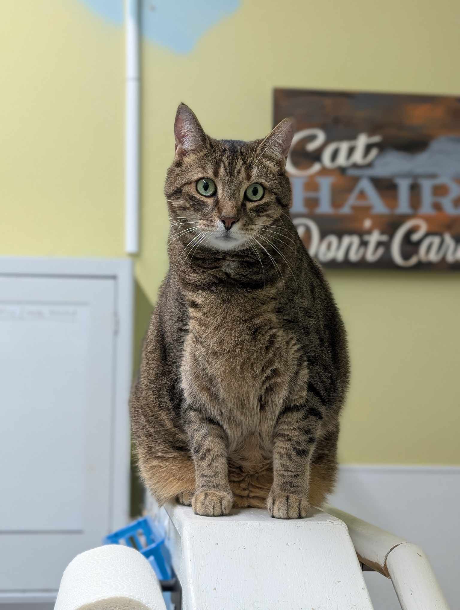 Benny