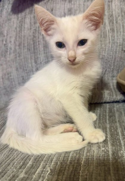 Casper