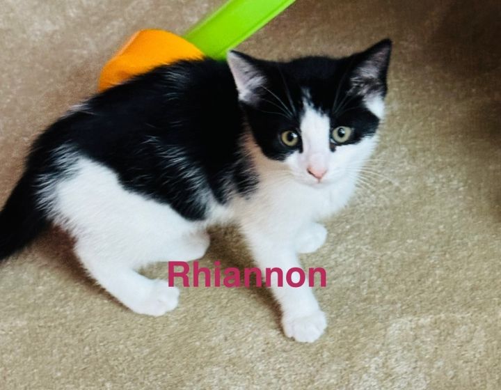 Rhiannon 1