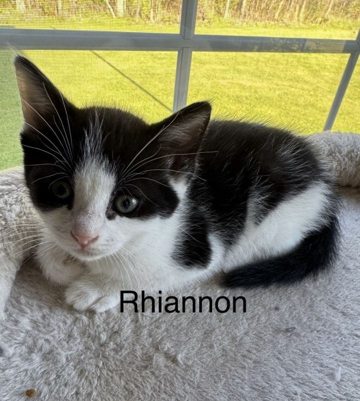 Rhiannon 2