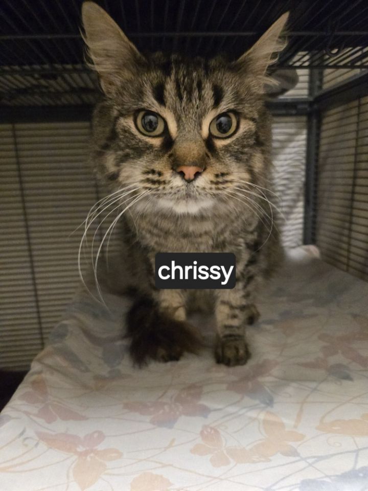 Chrissy 3