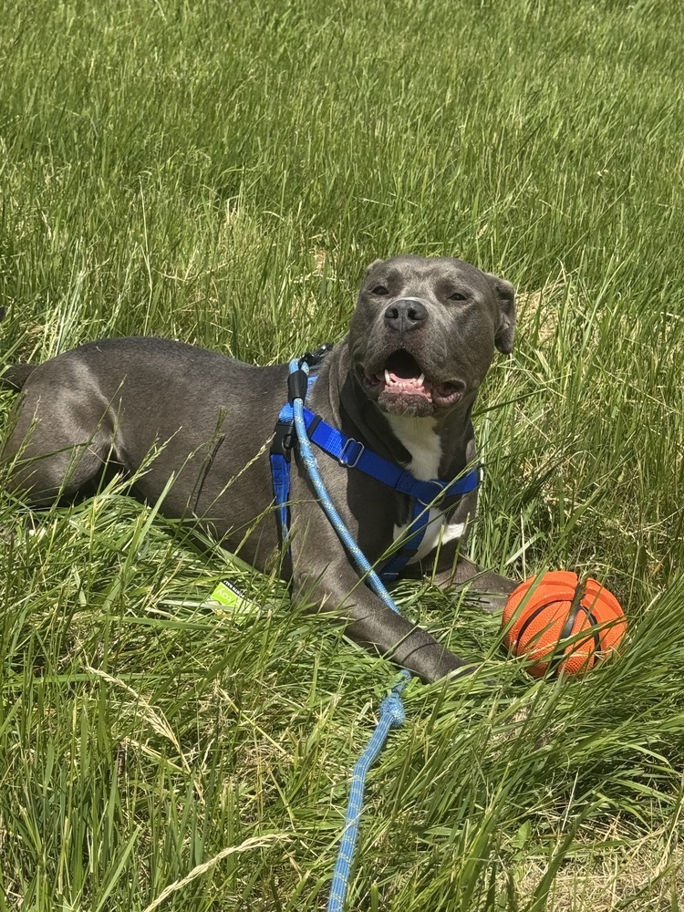 Kyro
