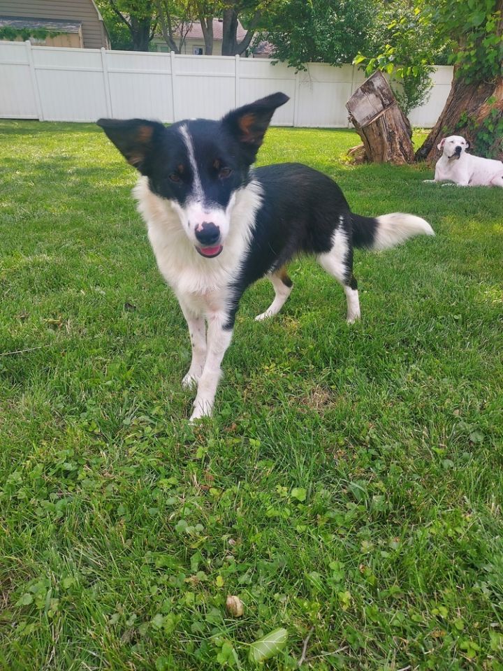 Pia 2