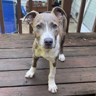 Benny 1