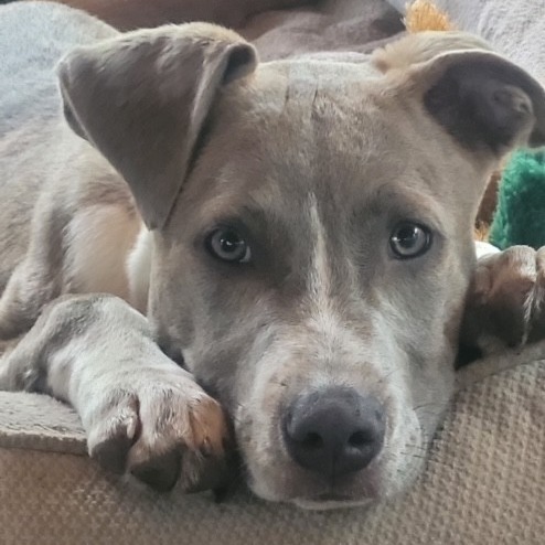 Benny