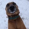 Bailey photo 4