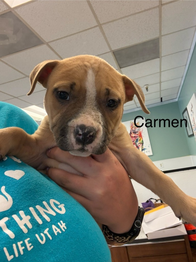 Carmen