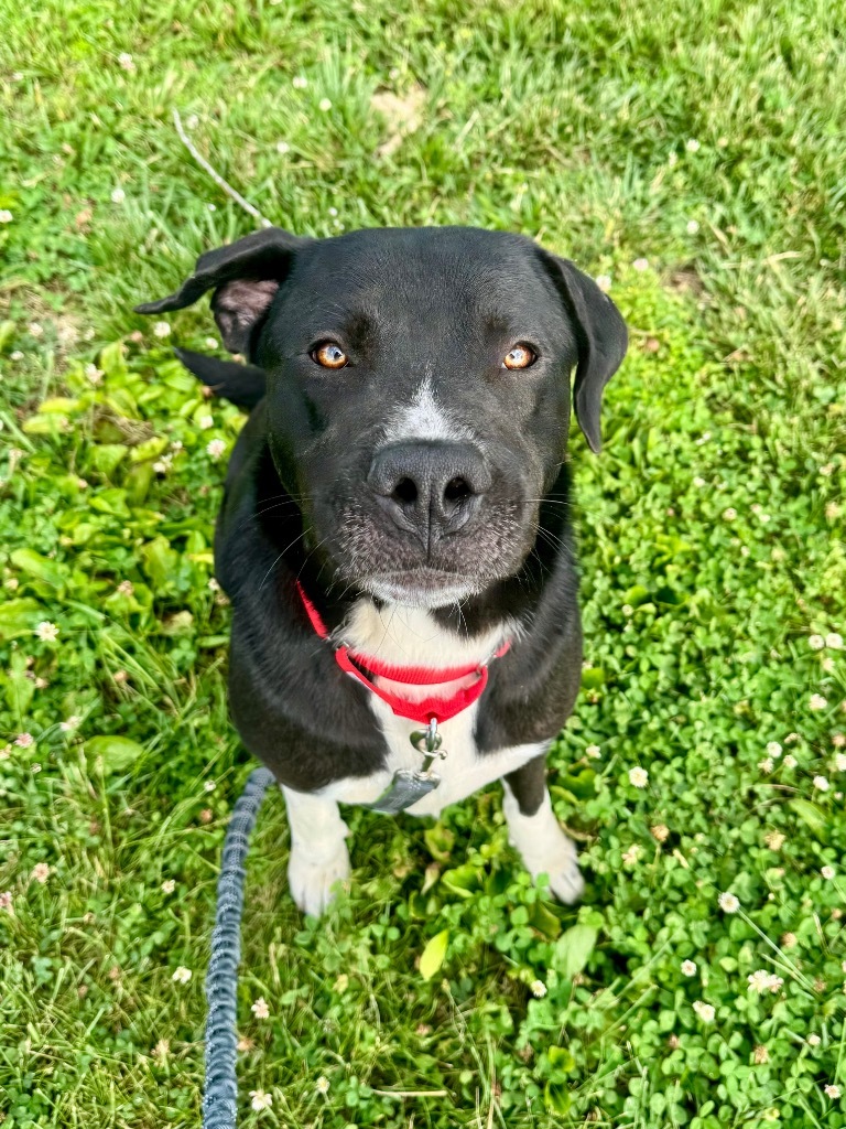Max