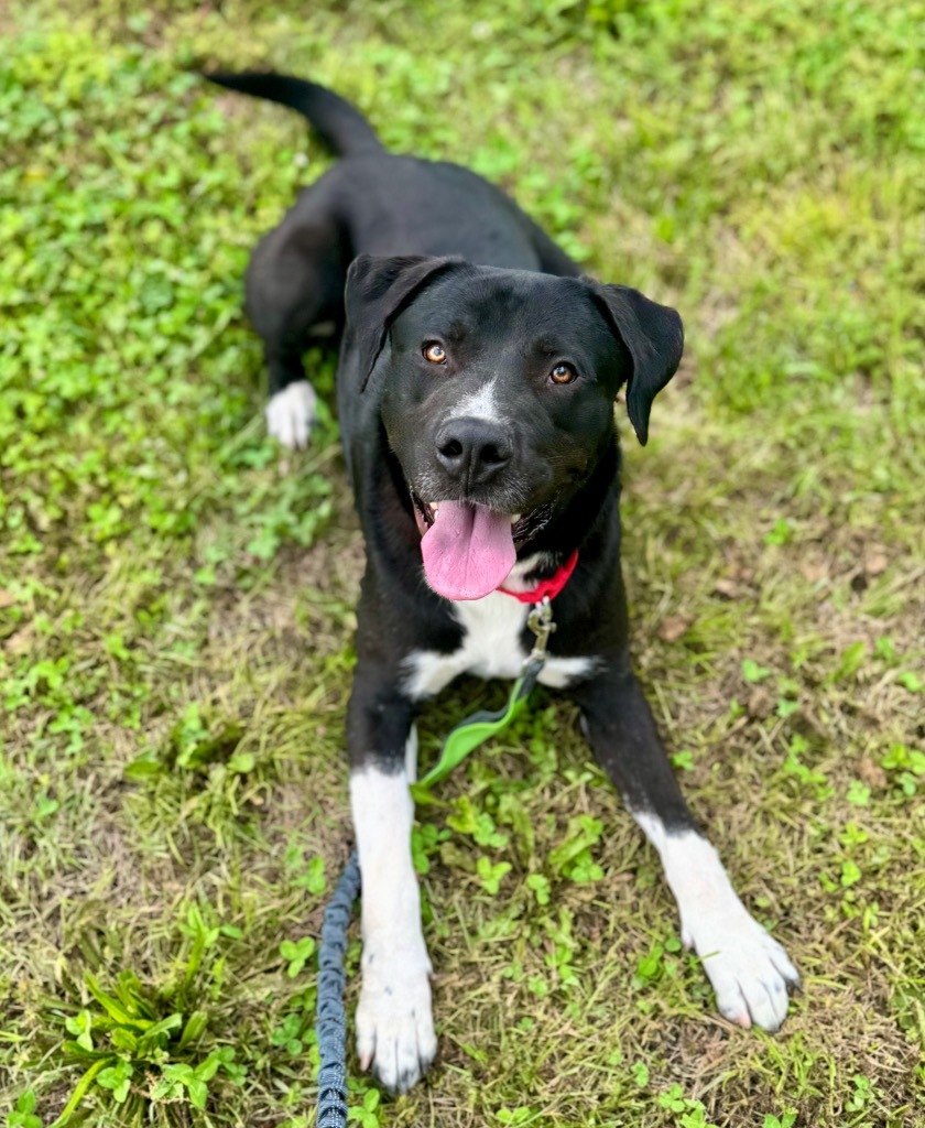 Max
