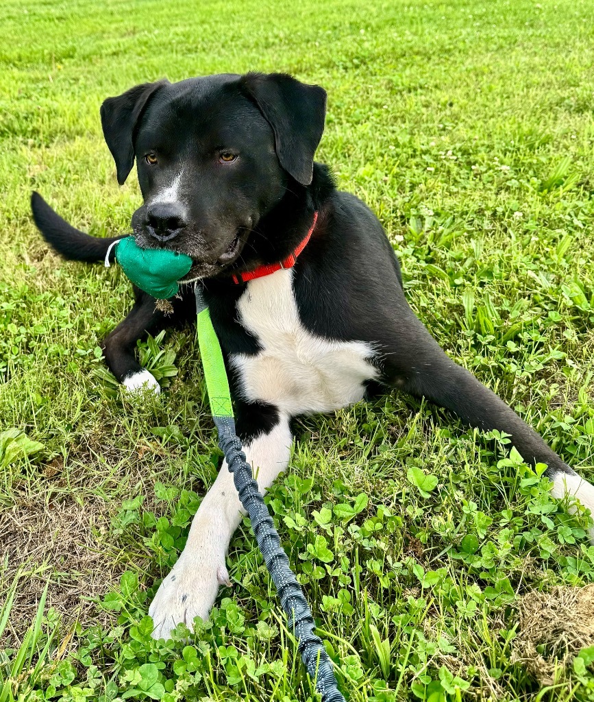 Max