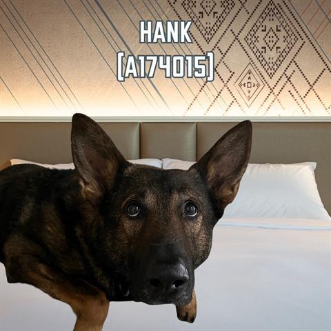 HANK