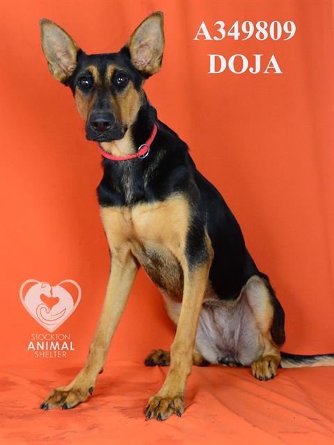 DOJA