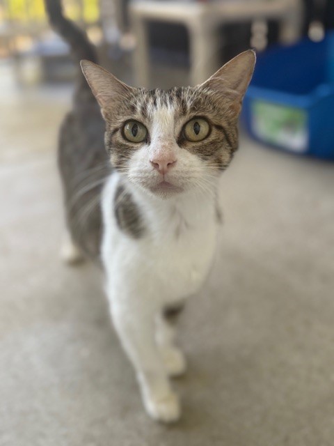 ZOEY