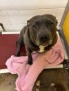 Nala-Sponsored photo 4