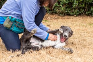 Murk, Baby Male Mixed Breed