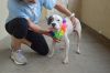 Chata (In Foster) photo 2