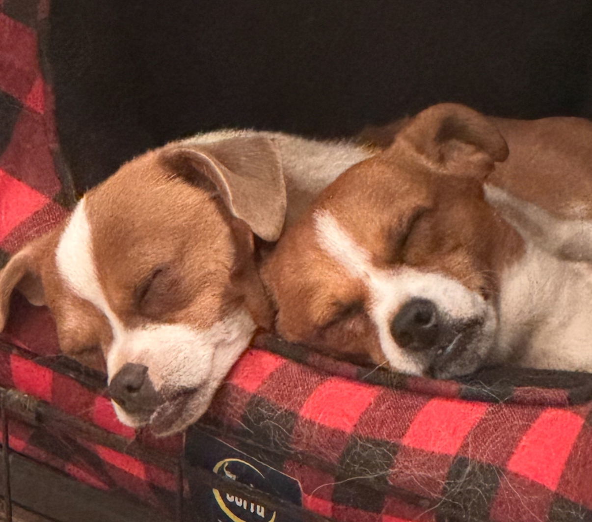 Pack and Tuck