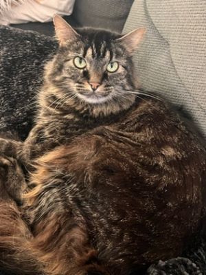 Dessi is a curious and friendly girl She is the perfect balance of energy and relaxation Dessi als