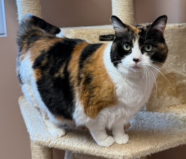 Fiona