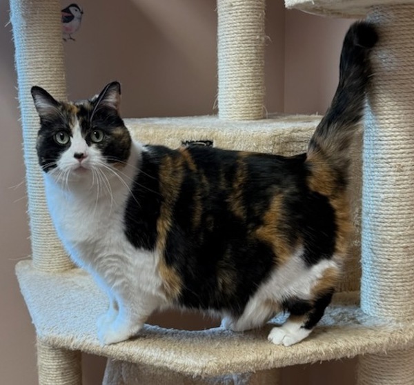 Fiona