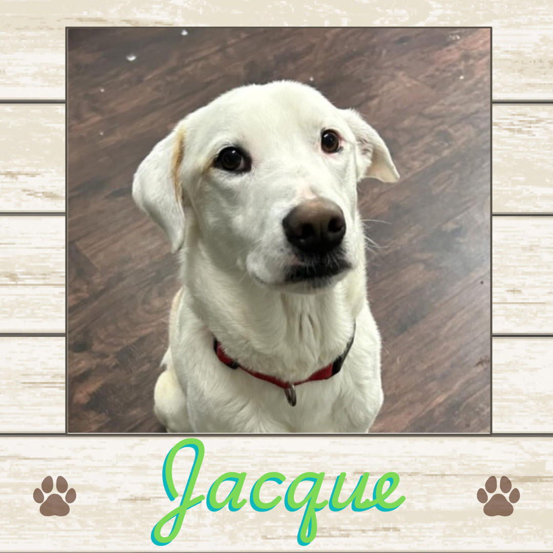 Jacque