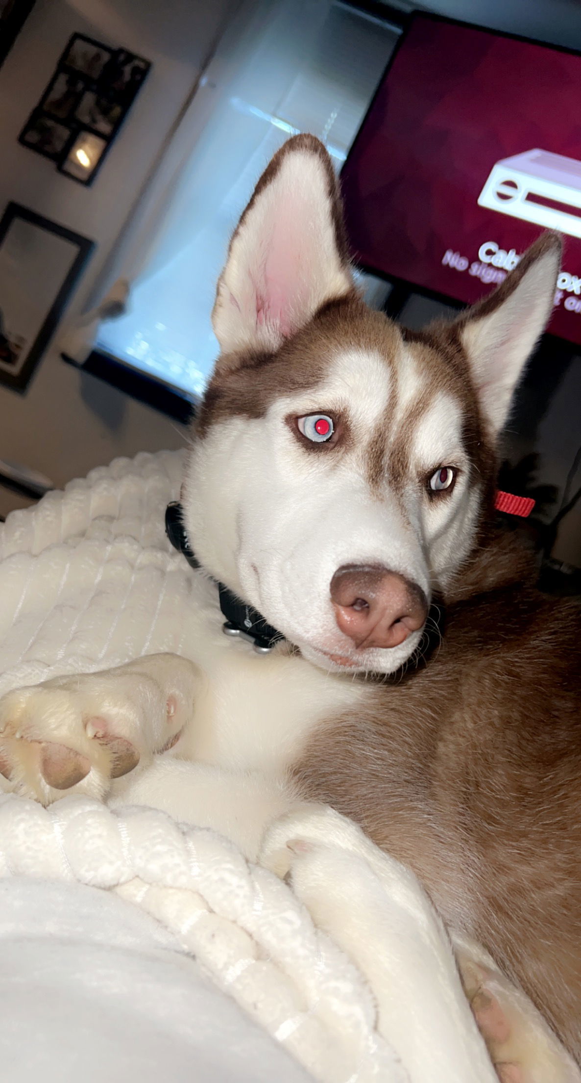 Whiskey: "My Home to Yours"