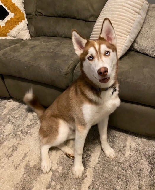 Whiskey: "My Home to Yours"
