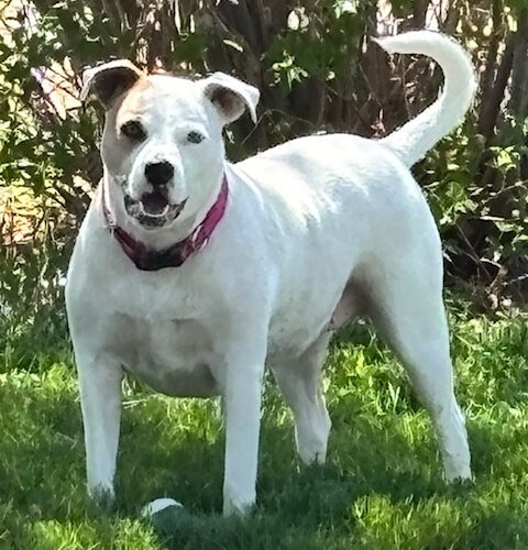 Missy 2